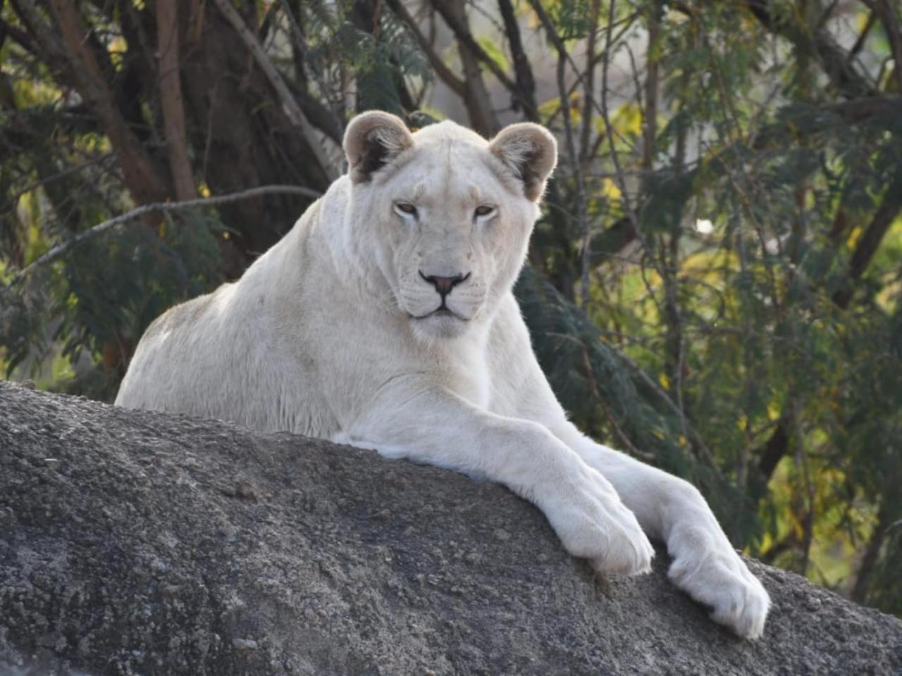 Lions View Accommodation Mbombela Exterior photo